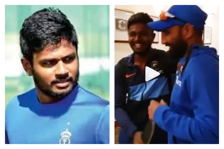 sanju samson news  സഞ്ജു സാംസണ്‍ വാർത്ത  മുഹമ്മദ് ഷമി വാർത്ത  muhammed shami news  shami news  ഷമി വാർത്ത