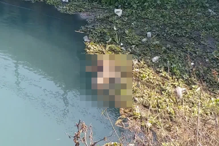 dead body of woman found in syl