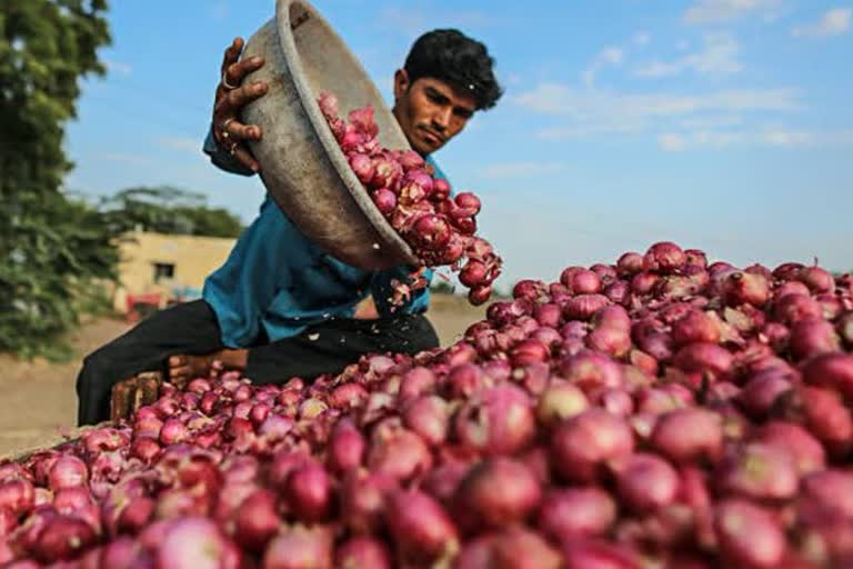 onion sale