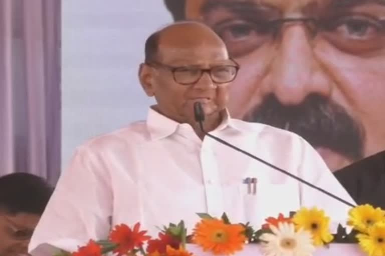 NCP Chief sharad pawar