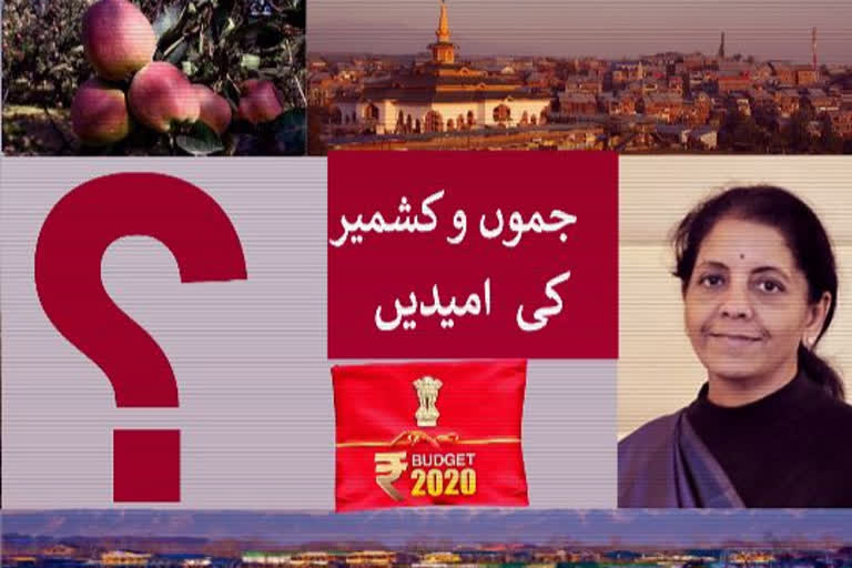 بجٹ 2020: مندی کے دور میں کشمیر کے لیے کیا کچھ رہے گا خاص؟