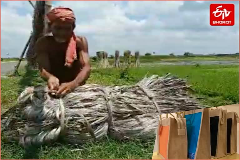 Reviving the jute industry with plastic ban