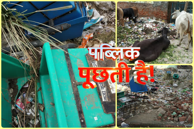 condition of dustbin are in poor condition in burari vidhansabha