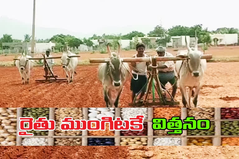 seeds distibution in ap