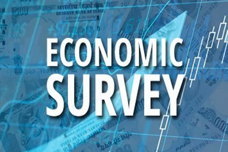 Economic Survey 2020