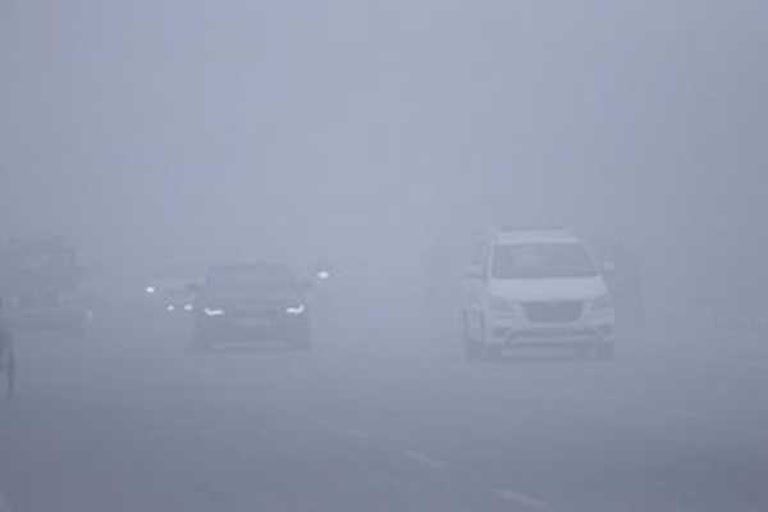 heavy fog in chandigarh