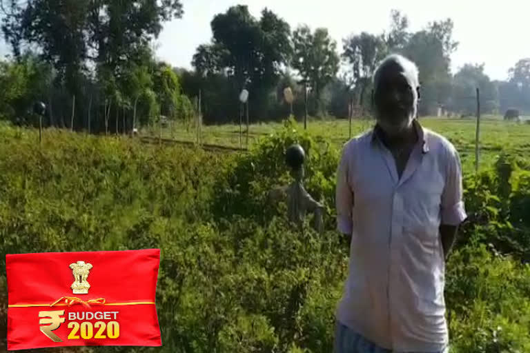 Farmers expect from the central government budget