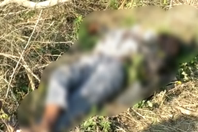 dead body found in kangra