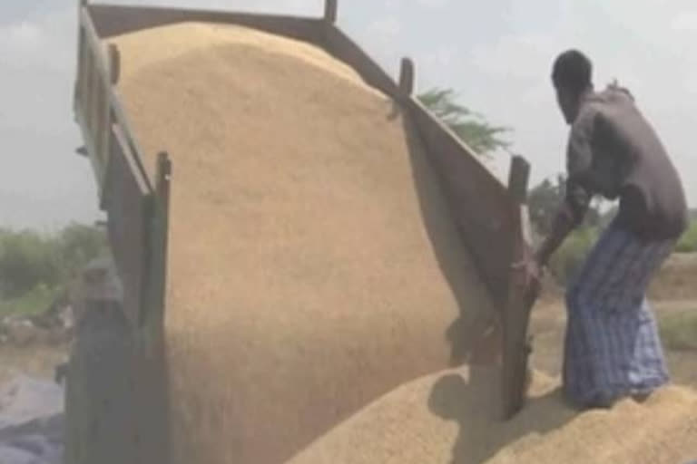 Paddy purchase Farmers wait