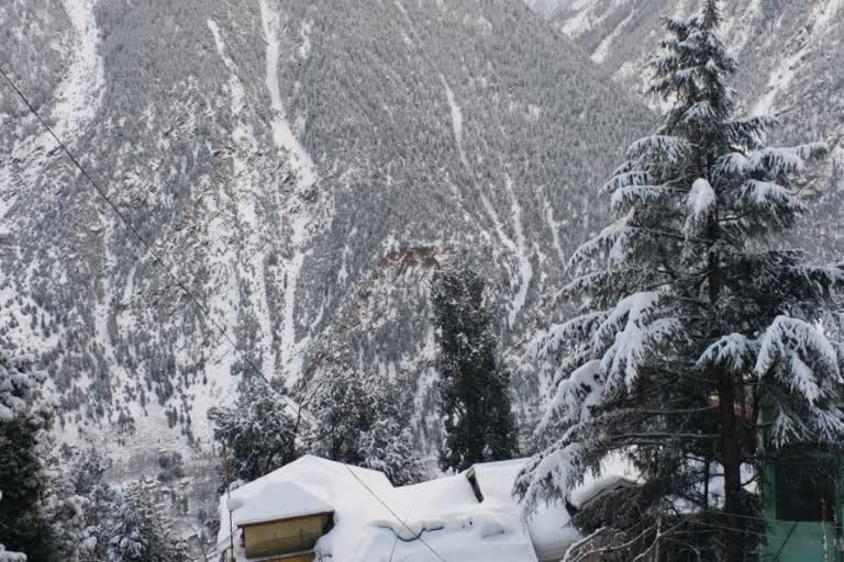 heavy snowfall in kinnaur