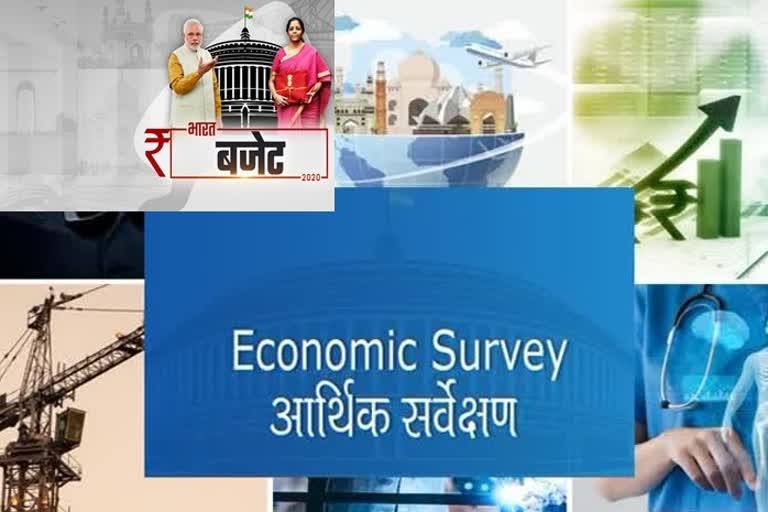 Eco Survey