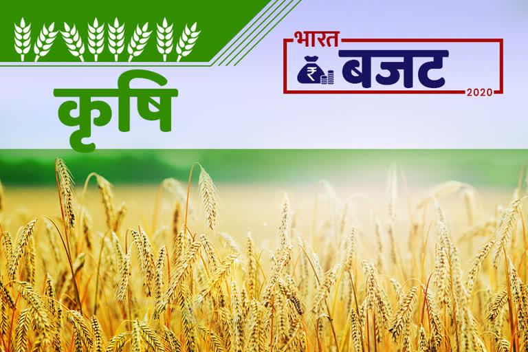 Announcements for farmers in general budget 2020