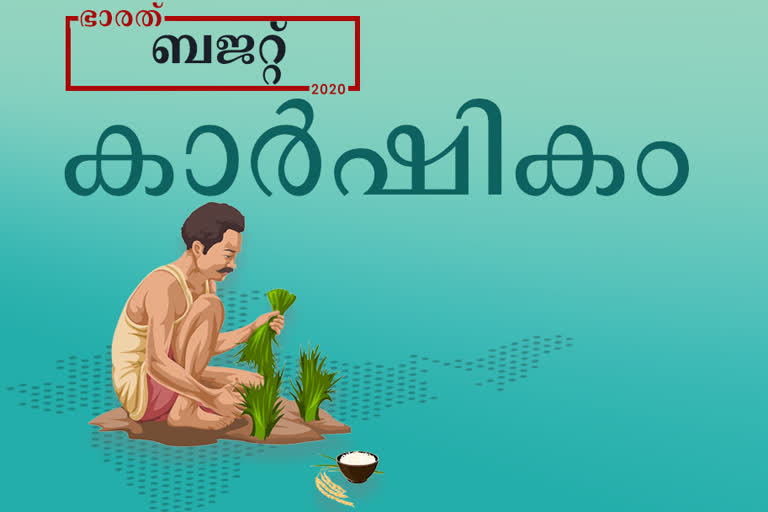 budget 2020 agriculture  കേന്ദ്ര ബജറ്റ് 2020  Union Budget 2020  Budget 2020  ബജറ്റ് 2020  Budget 2020 Latest Updates ബജറ്റ് 2020 ഏറ്റവും പുതിയ വാർത്ത  agriculture budget 2020  കൃഷി ബജറ്റ് 2020  agriculture budget allocation 2020  action plan for agriculture 2020  FM budget allocation for agriculture 2020  FM action plan for agriculture sector 2020  agriculture sector budget 2020  2020 budget highlights agriculture