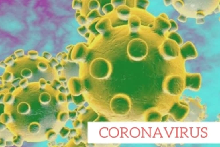 coronavirus