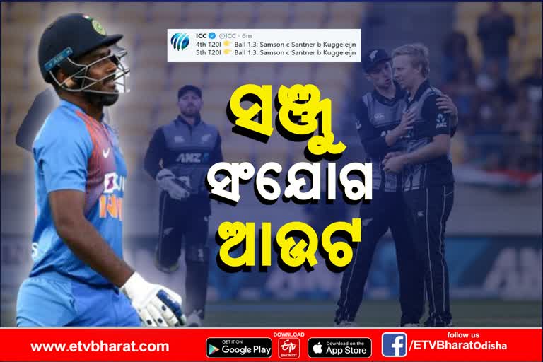 Sanju samson out by Kuggeleijn