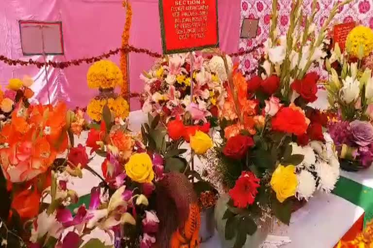 अखिल राजस्थान गुलाब प्रदर्शनी, 47वीं राजस्थान गुलाब प्रदर्शनी,47th Rajasthan Rose exhibition, All Rajasthan Rose Exhibition