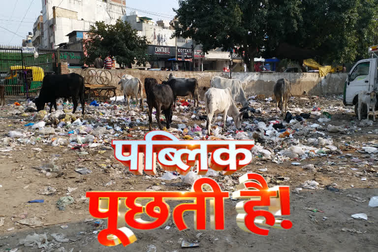 people are disturbed  by open dustbin in tughlaqabad in delhi