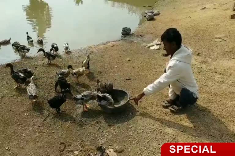 लोगों के लिए प्रेरणा स्त्रोत है 'दिव्यांग दीपक', इंजीनियर बनने के बाद लोगों को दे रहे हैं आगे बढ़ने की प्रेरणा