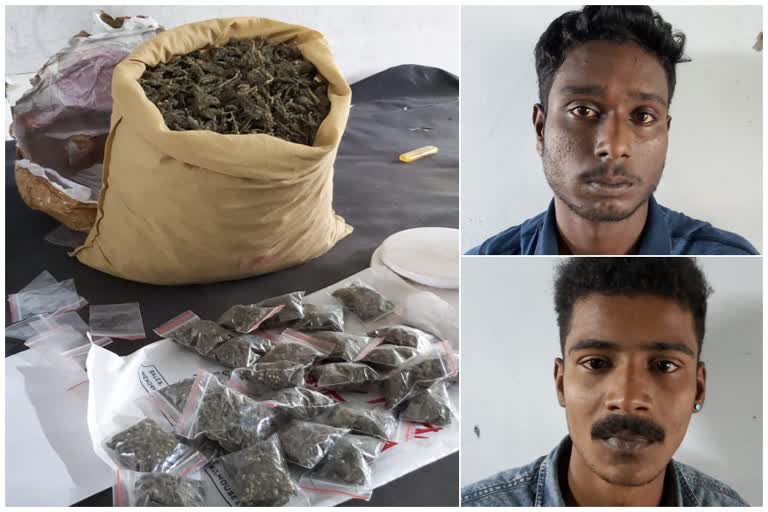 police seized 12kg cannabiz in kochi  cannabis  kochi crime news  crime latest news  കൊച്ചി  .5കിലോ കഞ്ചാവുമായി രണ്ട് പേര്‍ പിടിയില്‍