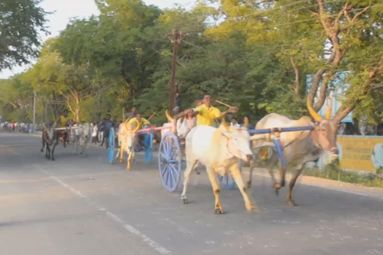 வீரபாண்டிய கட்டபொம்மன் பிறந்தநாள் விழாவில் சீறிப்பாய்ந்த காளைகள்!