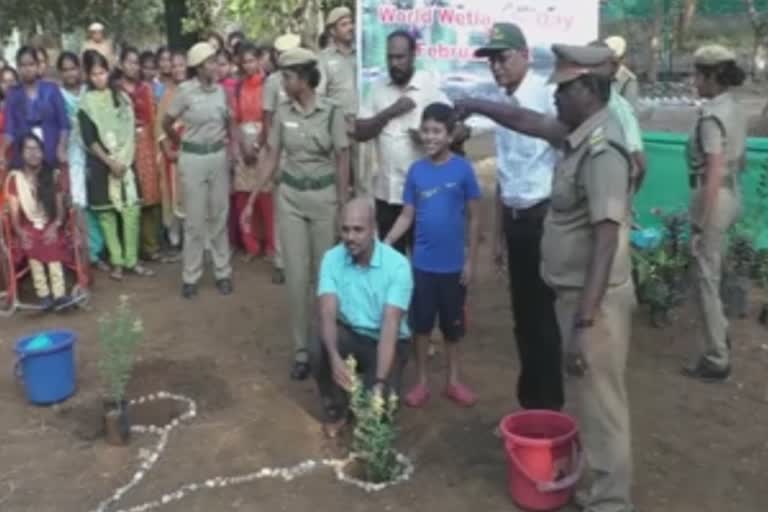 வண்ணத்துப்பூச்சி பூங்கா தொடக்கம்