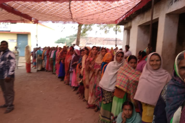 panchyat elections in chhattisgarh