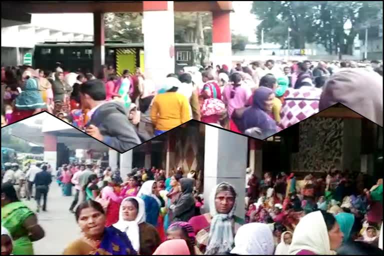 Midday meal workers