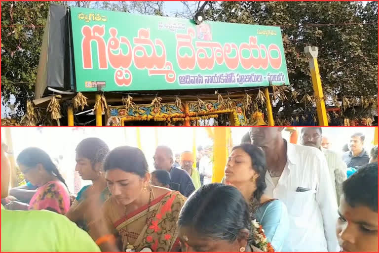 Gattamma Darshan After Medaram Darshan at mulugu district