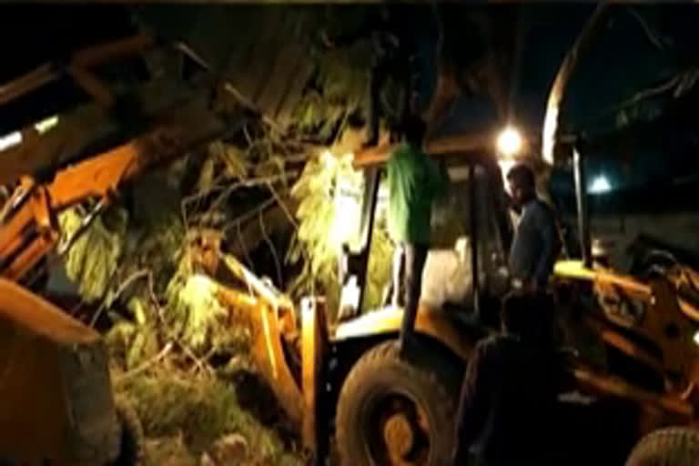 fallen tree damaged vehicles