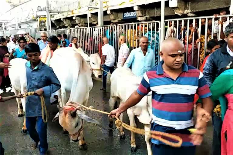 devotees are in vemulawada due to Monday