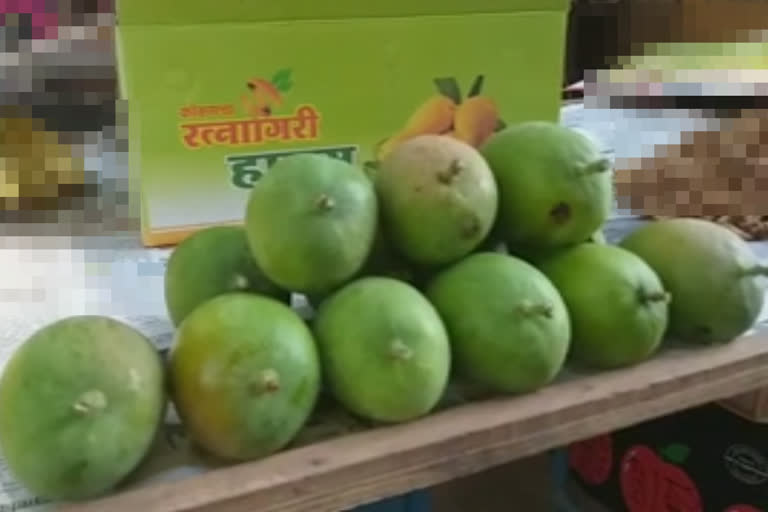 hapus-mango-entered-the-market-of-ratnagiri