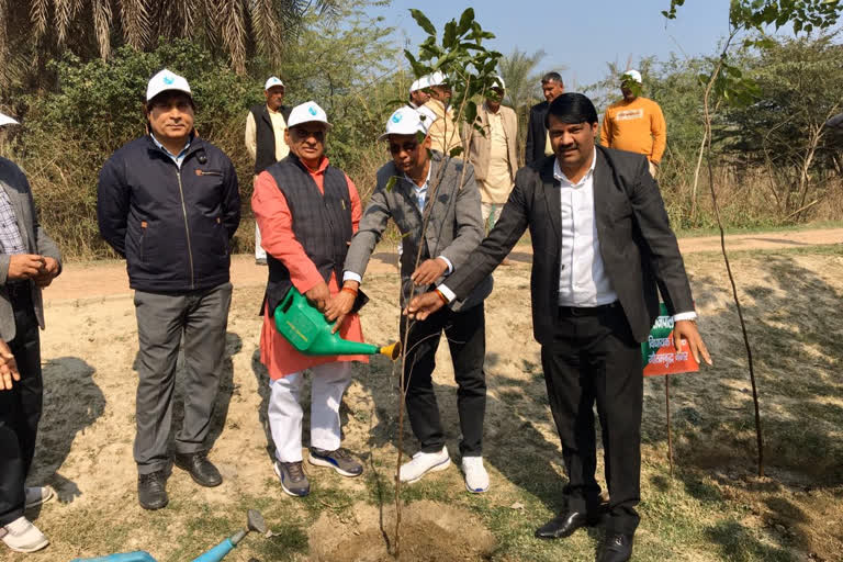 Plantation program organized in Noida