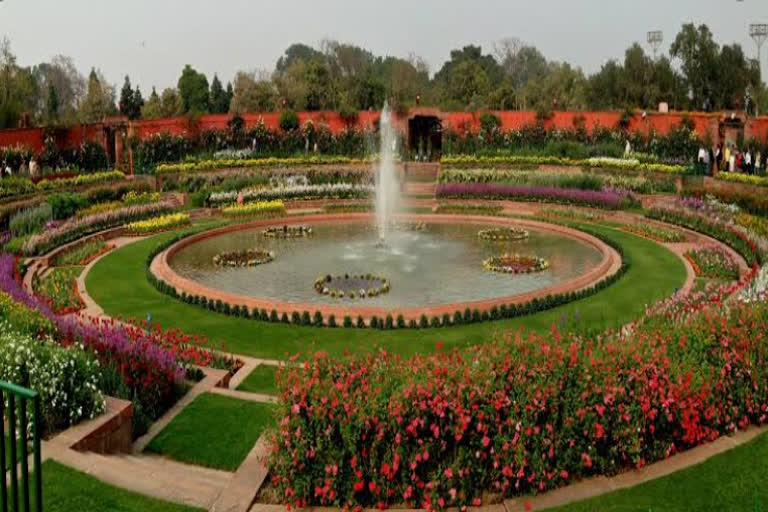 Mughal Gardens will open for general public on 5 February