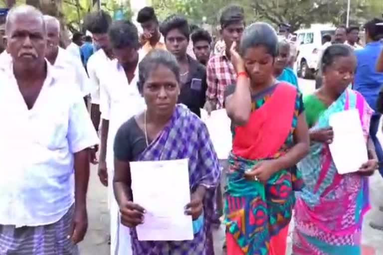 petition collector madurai cattles missing, madurai cattles missing, காணாமல் போன மாடுகளை மீட்டுத்தாருங்கள், ஆட்சியரிடம் கிராமத்தார் மனு, Return theft cows, Villagers petition to collector in madurai