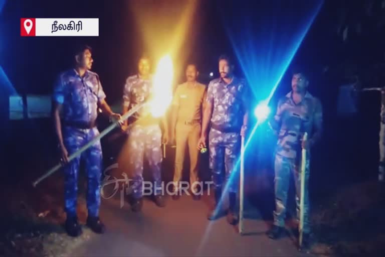 nilgiris-in-search-of-tiger-roaming-forest-officers-patrolling-full-nights-with-fire-beacon