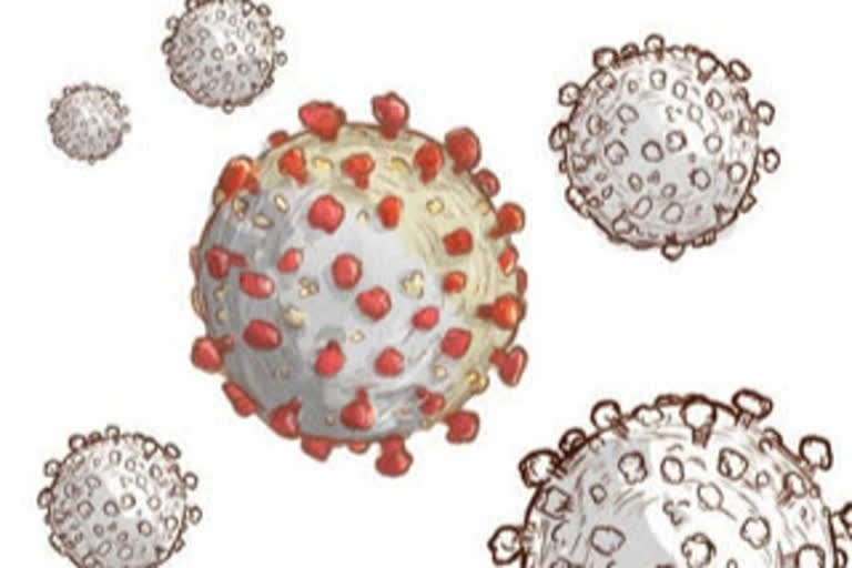 coronavirus