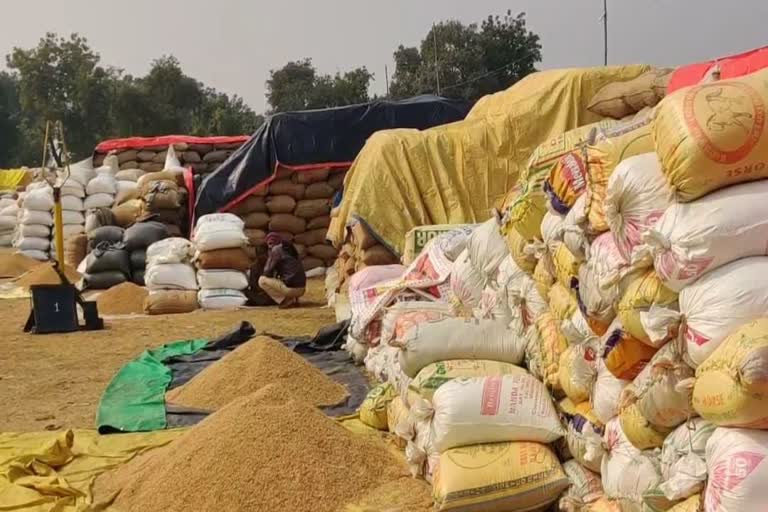 paddy purchasing is stopped due to rain in bemetara