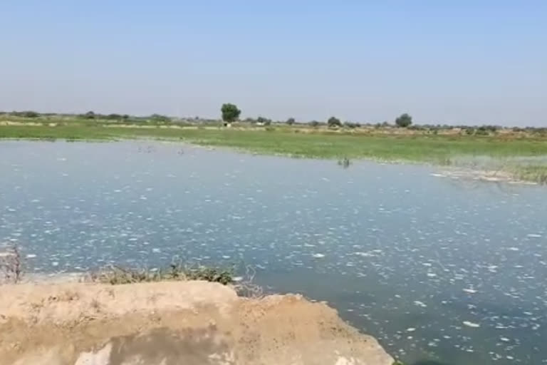 One more leakage in the Radhanpur diocese canal