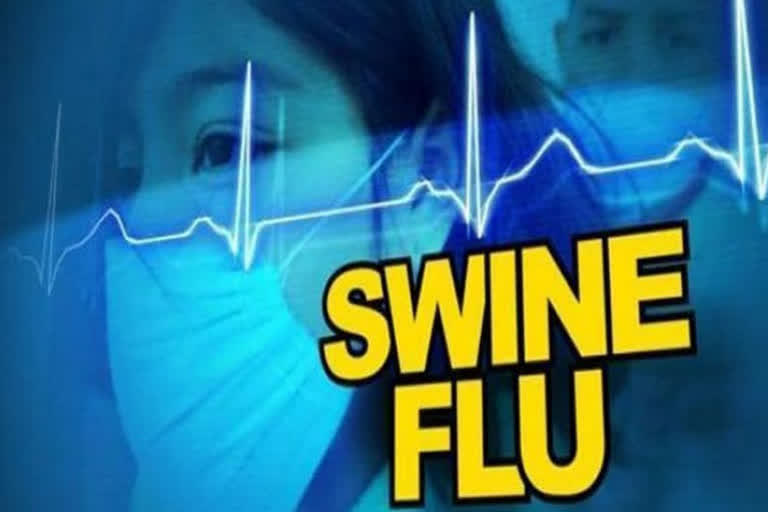 coronavirus  Swine flu  കൊറോണ വൈറസ് ബാധ  സാംമ്പിളുകളില്‍ പന്നിപ്പനി കണ്ടെത്തി  കൊറോണ വൈറസ്  പന്നിപ്പനി  പുനെ ബയോളജി ഇന്‍സ്റ്റിറ്റ്യൂട്ട്  Swine flu cases  coronavirus