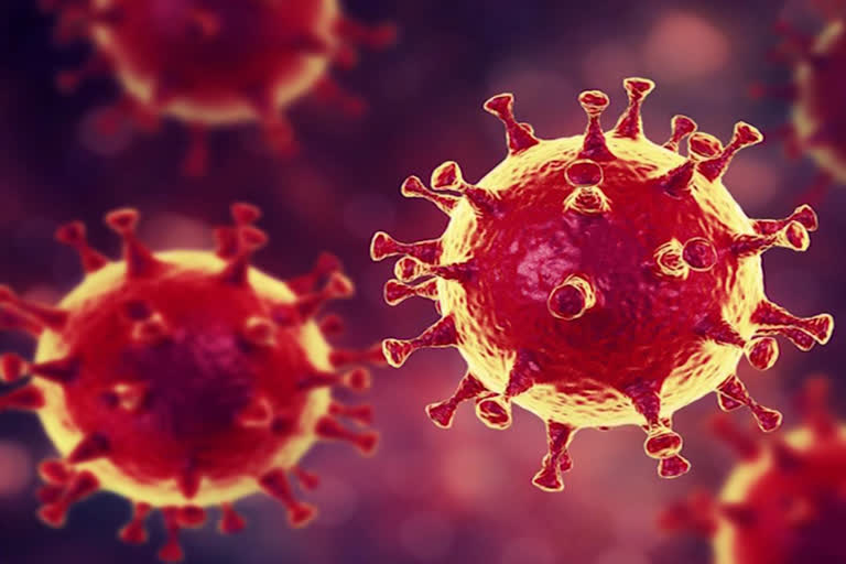 Novel coronavirus turns spotlight on Wuhan, Kerala connect