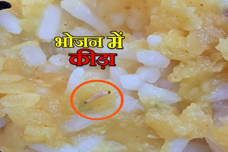 Worm found in food of teachers during training in chatra