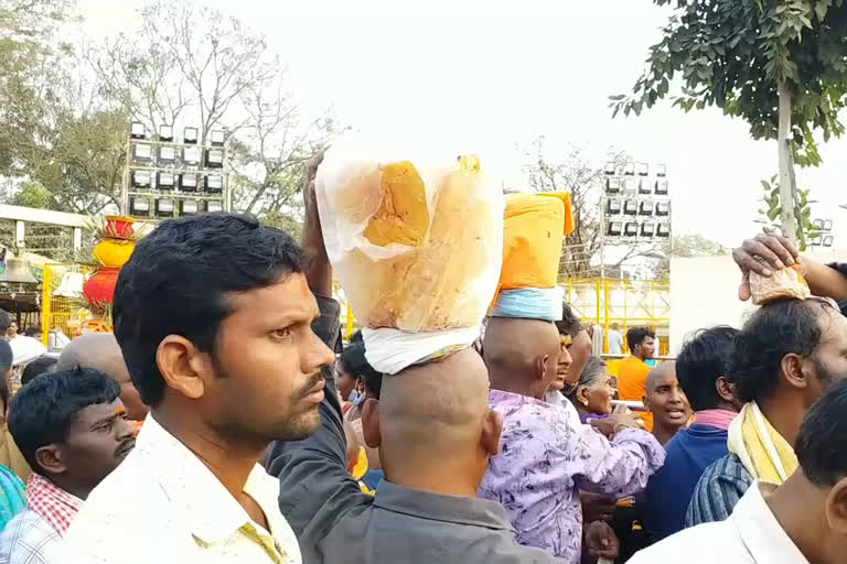 devotees in medaram