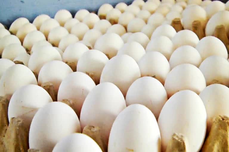 Namakkal Egg