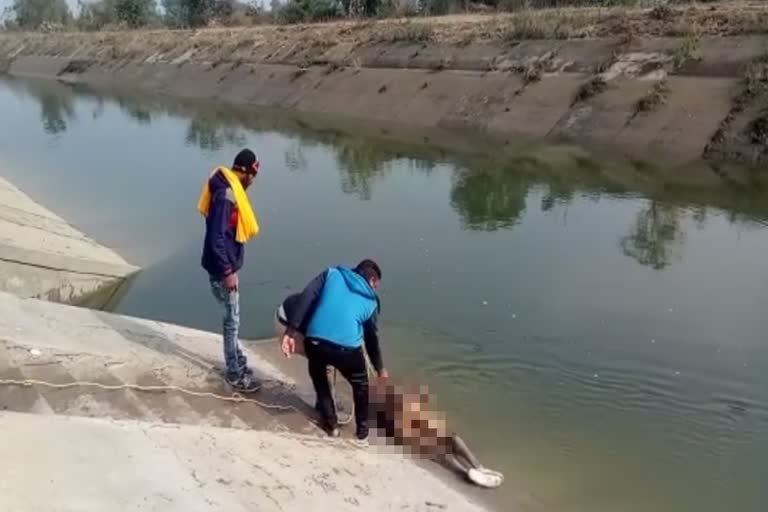 dead body found in wardha dam