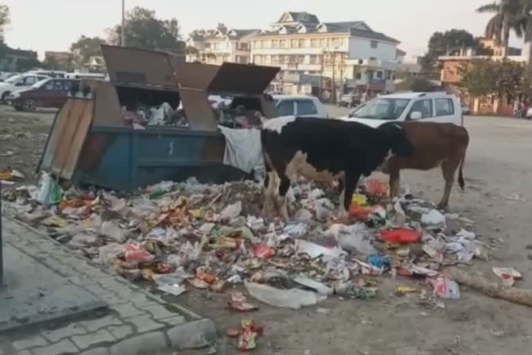 garbage collection in paonta sahib