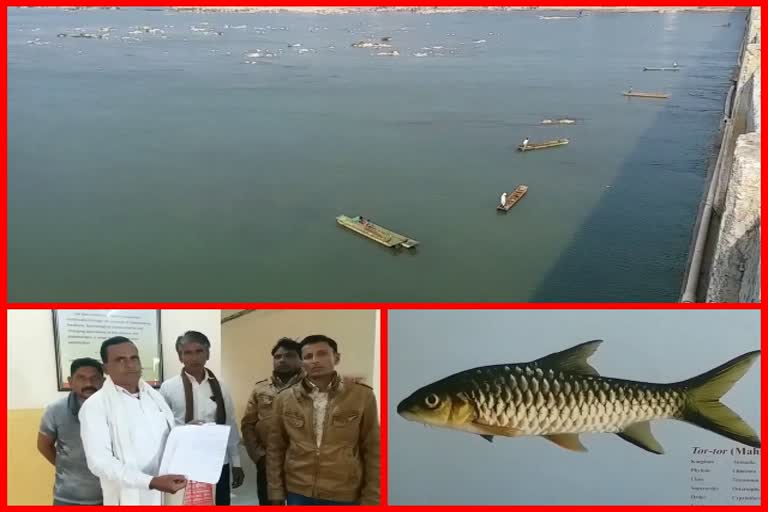 numerous-fish-species-on-the-verge-of-extinction-due-to-illegal-mining-in-narmada-