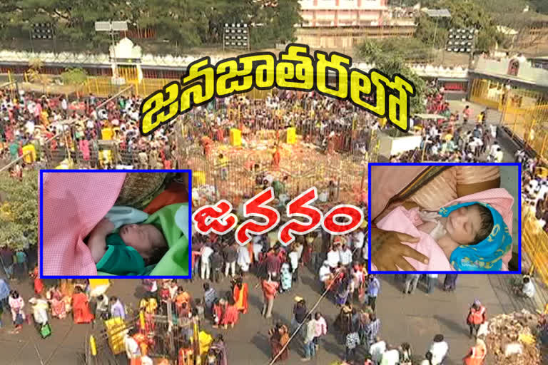 మేడారంలో పుట్టిన జంపన్న, సమ్మక్క