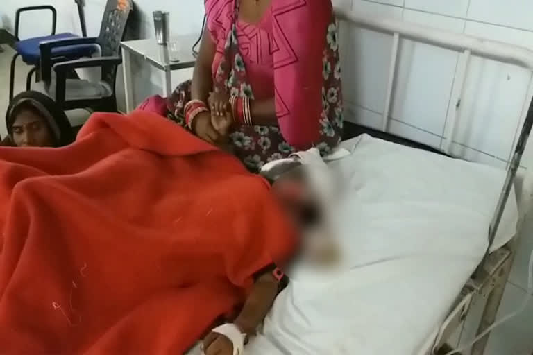 श्वान ने किया बच्चे पर हमला, Dog attacked the child