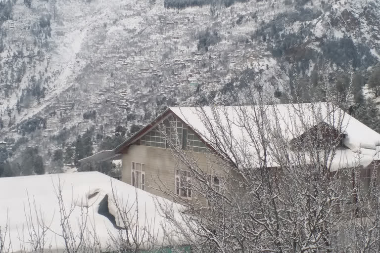 fresh snowfall started in kinnaur