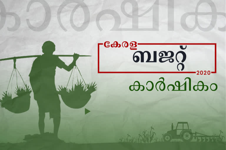 kerala budget; aggriculture  കേരള ബജറ്റ് 2020 വാര്‍ത്ത  തോമസ് ഐസക് വാര്‍ത്ത  തിരുവനന്തപുരം വാര്‍ത്ത  കേരള ബജറ്റ് ലേറ്റസ്‌റ്റ്  kerala budget 2020  thomas issac news  kerala budget latest news  thiruvananthapuram news